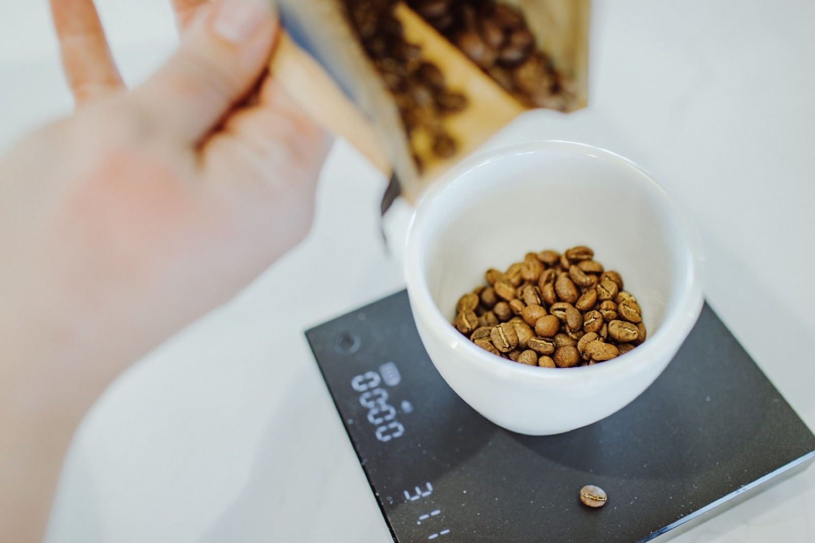 Moose Ridge Coffee Co. lifestyle